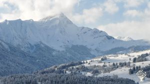 Biohof mit Mutterkühen, Ziegen, Getreide-Anbau und -Verarbeitung, Permakultur