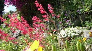 House and garden and woodland