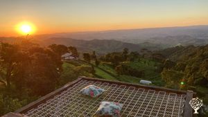 Sitio Agroecológico com atividades de criação de animais, plantio, hospedagem e produção  artesanal
