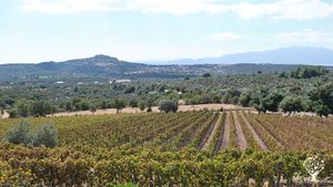 Eğitim Vakfı ve Çiftlik