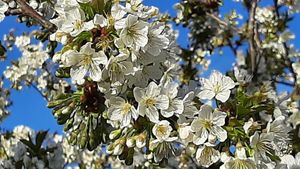 Smallholding, Mixed Farm