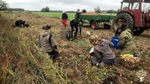 Family farm near the Baltic Sea
