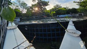 Its a Coliving. Based in biology, we do aquaponics and environmental education in Tayrona