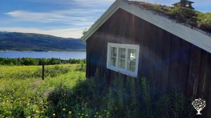 Livestock Farm, Farm, Family farm