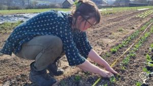 Growing about fifty different vegetables in respect of the earth