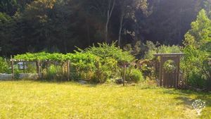 Family home and garden - rural