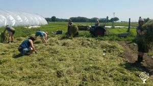Kleine Gemüse-Solawi im Landkreis Gifhorn, Market Garden