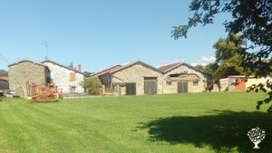 Producteur de plantes aromatiques et médicinales