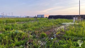 <GG138>다양한 농법을 실험하는 자연농장/A natural farm exploring diverse farming techniques