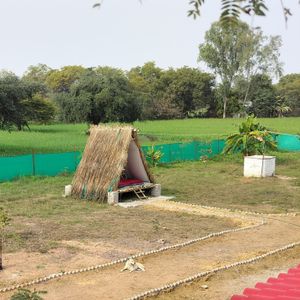 Vikas