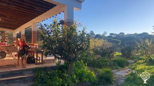 Ninja the dog ready to welcome to the WWOOFers