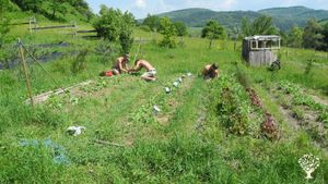 Isolated farm in Transylvania