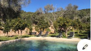 Charming Ibiza farm seeking volunteers to grow flowers, tend gardens, enjoy life with animals