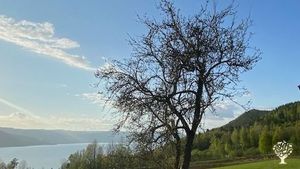 View fromthe main house to Mjøsa.  Early spring.