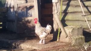Ferme de concept plein air en Bretagne sud