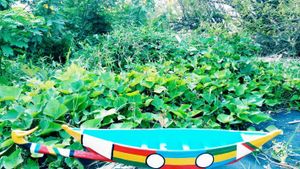 Our symbolic farm and organization Logo 