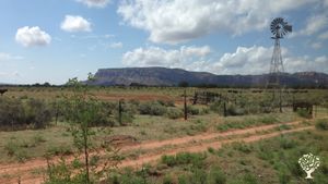 Family farm and ranch in rural Arizona near Zion National Park specializing in agritourism.