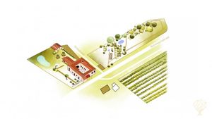 Vineyard, vegetable garden, greenhouse, orchard and animals