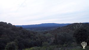 desde la parcela hay vistas hacia Sierra Morena