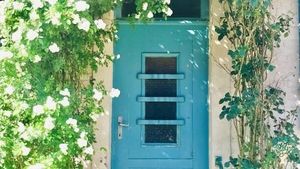 Fruit, veg, chickens and the market