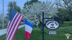 Farm specializing in horses and horse care in Wisconsin