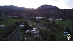 Certified Organic Regenerative Vegetable Farm