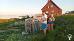 Organic farm on a smal iland North off Tromsø