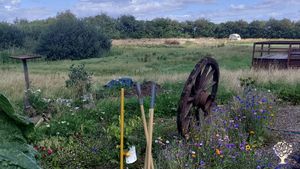 Soul Farm – family homestead by the sea in Denmark