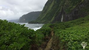 Ala Kaha Kai ("King's trail") towards Waianuenue waterfall that is eastern property boundary