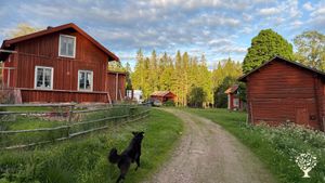 Traditional 1840s mountain farm with cows, forest and great views. Welcoming LGBTQ+