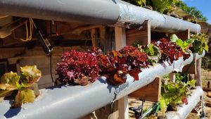 Pequeña finca alimentada por fotovoltaico en desarollo con el objectivo de autosuficiencia energetic