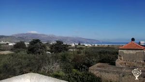 Family home and garden - rural