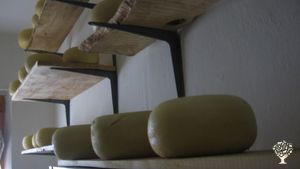 Destinazione Agrituristica, Orto commerciale, Fattoria mista, Fattoria di famiglia