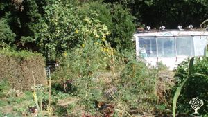 Ferme de 6 ha, moyenne montagne, jardin bio et éco-construction.
