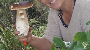 Kleiner Selbstversorgerhof mit Schafen,  Hühnern, Gemüsegarten, Gewächshaus, Obst- und Nussbäume