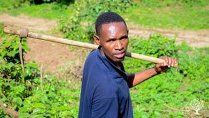 Welcome and volunteering in Nkoaranga Coffee and Banana Farm