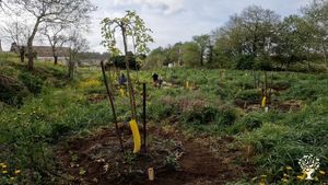 Permaculture homestead, family-run farm, finca de transmission & inspiración