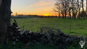 Family home and garden - rural