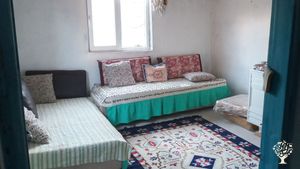 Tibbi ve yenebilir yabani otlar yetiştirme/Toplama/Kurutma