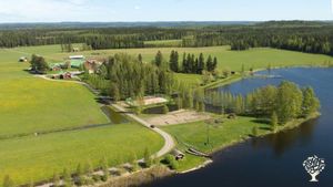 Multi production farm with health, sustainability, herbs, berrygardens, forests, fields, ecoturism