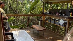 Jungle à Pat’ est un jardin botanique immersif situé à La Rivière Saint-Louis, à La Réunion. Véritab