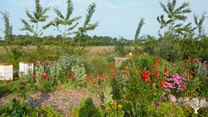 Herbal holistic homestead