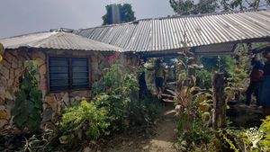 Ferme bio permaculture à kpélé Atimé Bato