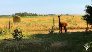 80-acre farm owned by the Dominican Sisters of Peace