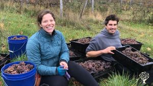 Unique learning experience in farming and wine-making in beautiful, historic Leelanau County, MI