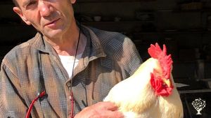 Céramique et jardinage