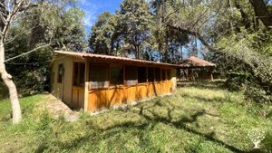 Estamos ubicados en Cochabamba, Bolivia. Dedicamos nuestras 3.5h a la agricultura orgánica.