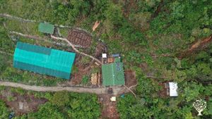 Alternative co-operative community, Communal Living Group, Family home and garden - rural, Homestead