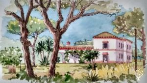 Family home and garden - rural