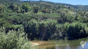 uitzicht vanaf het huis
